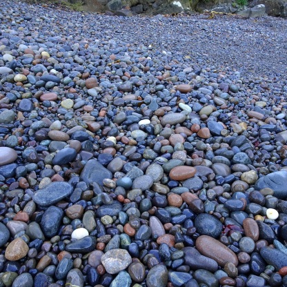 The stones on a shaded Slope Point beach.