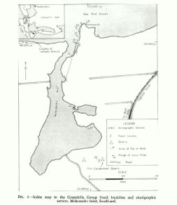 The fossil localities in the 1969 article are located at the eastern end of the entrance to Mokomoko Inlet, where it connects to New River Estuary (Oreti River).