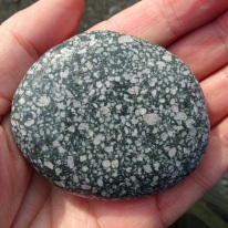 The largest stone I collected today.