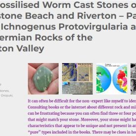 https://tumblestoneblog.wordpress.com/2019/09/04/the-fossilised-worm-cast-stones-of-gemstone-beach-and-riverton-part-four-ichnogenus-protovirgularia-and-the-permian-rocks-of-the-eglinton-valley/