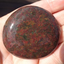 The small dot of bright red caught my eye when closely examining this stone on the beach.