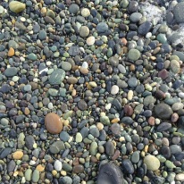 Beach stones.