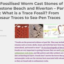 https://tumblestoneblog.wordpress.com/2019/07/22/the-fossilised-worm-cast-stones-of-gemstone-beach-and-riverton-part-two-what-is-a-trace-fossil/