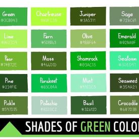 Shades of green. Source: www.color-meanings.com/shades-of-green-color-names-html-hex-rgb-codes