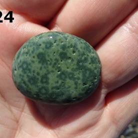 Stone Gn24, spotted argillite.