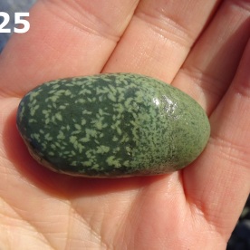 Stone Gn25, spotted argillite.