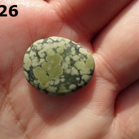 Stone Gn26, spotted argillite.
