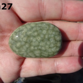 Stone Gn27, spotted argillite.