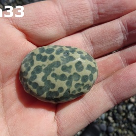 Stone Gn33, spotted argillite??