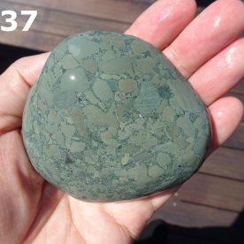 Stone Gn37, argillite breccia.