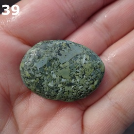 Stone Gn39, argillite breccia.