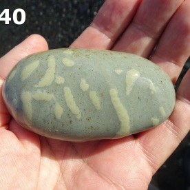 Stone Gn40, trace fossils in argillite.