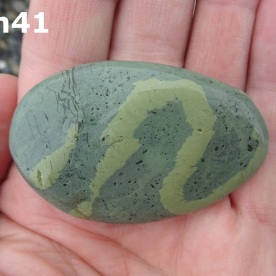 Stone Gn41, trace fossil in argillite.