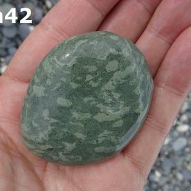 Stone Gn42, trace fossils in argillite.