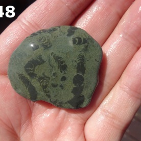 Stone Gn48, trace fossils in argillite.