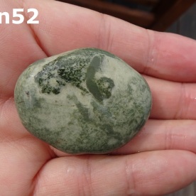 Stone Gn52, trace fossils in argillite.