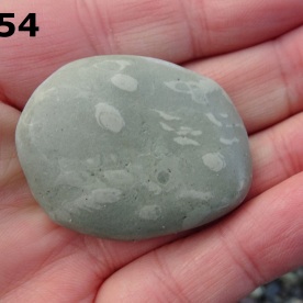Stone Gn54, trace fossils in argillite.