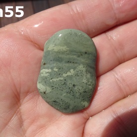 Stone Gn55, trace fossils in argillite.