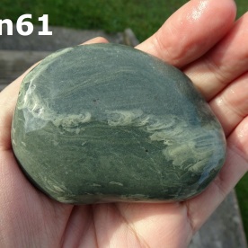 Stone Gn61, trace fossil in argillite?