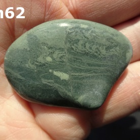 Stone Gn62, trace fossils in argillite.